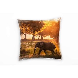 Paul Sinus Art Tiere, Elefant, Sonne, orange, braun Deko Kissen 40x40cm für Couch Sofa Lounge Zierkissen - Dekoration zum Wohlfühlen