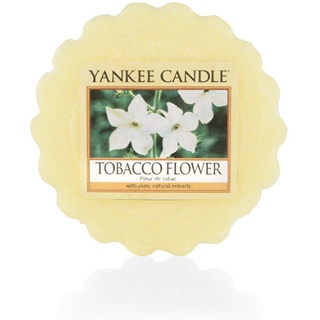 Yankee Candle Tarts Teelichter-Kerzen, Wax, Tobacco Flower, 8.4 x 6.1 x 1 cm, 9
