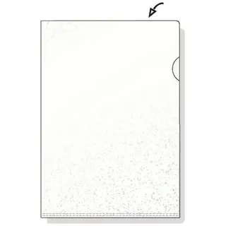 Hetzel Klarsichthülle DIN A5, PP, (Polypropylen) Transparent 50 Stück
