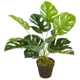 Spetebo Monstera Zimmerpflanze - 45 cm - Deko Kunstpflanze im Blumentopf - Lochblatt Fenster Pflanze