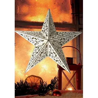 LED Holzstern Mistelzweig-Optik 10 LEDs warm-weiß 40cm Ornament Weihnachten Deko