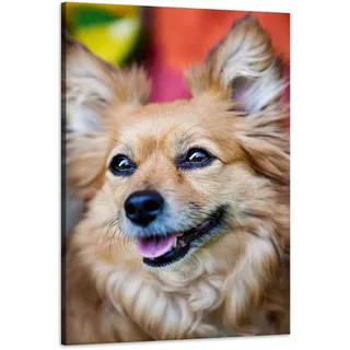 Leinwanddruck Chihuahua-tiere 60x90 Cm