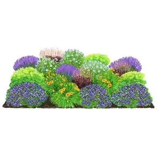 Bio Stauden-Set Lange Blüte, Landlust Kollektion, 18-teilig, Grün, Lila, Gelb, Dunkelrot