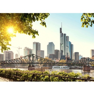 Fototapete Frankfurt Skyline Brücke Blau Braun Graun 3,50 m x 2,55 m FSC®