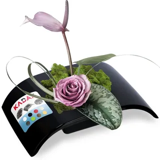 KADAX Ikebana aus Kunststoff, Ikebana Vase, Blumentopf, Blumenschale, Japanischer Blumenhalter für Sonnenblumen, Ikebana-Blumenvase, Blumengestecke (L: 19,2 cm, Schwarz)