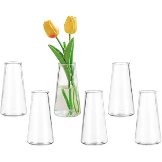 Glasseam Kleine Vase Glas für Tischdeko: 6 Stück Deko Vasen Klein Glasvasen Set für Hochzeit Home Küche Room Wohnzimmer Dekoration - Klar Blumenvase Modern für Geburtstag Party Geschenk