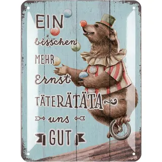 LANOLU Retro Blechschilder EIN BISSCHEN MEHR ERNST TÄTERÄTÄTÄ UNS GUT lustige vintage Metallschilder mit Sprüchen, Wanddeko für Büro, Küche und Garten - Shabby Chic Deko Farmhouse 15x20cm