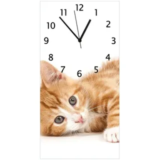 Wallario Süße Katze 30,0 cm 30 x 60 cm rot/weiß