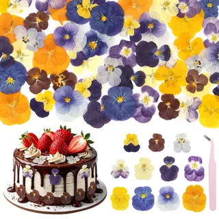 Celsano 55 Stück Trockenblumen Schmetterling, Natürliche Getrocknete Blumen zum Basteln, Klein Gepresste Blüten Viola mit Pinzette , Dried Flowers für Scrapbooking, DIY Trockenblumen Set Kunsthandwerk