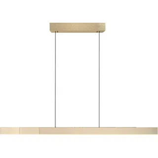 Paul Neuhaus PURE Moto-Rise 3xLED-Board 13W 60 cm rund gold