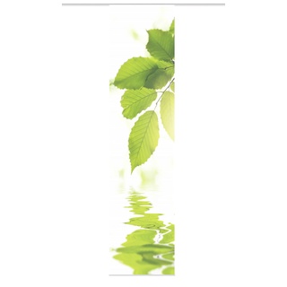 VISION S Schiebegardine LEFANO, halb-transparenter Stoff in Bambus-Optik, digital Bedruckt, 260 x 60 cm (h x b), Farbe: Grün