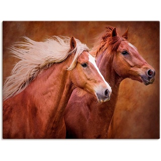 Artland Wandbild Reinrassige Pferde I, Haustiere (1 St), als Leinwandbild, Poster, Wandaufkleber in verschied. Größen braun 40 cm x 30 cm