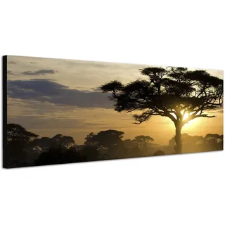 Wandbild auf Leinwand als Panorama in 150x50cm Afrika Landschaft Bäume Sonnenuntergang