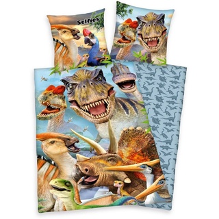 Kinderbettwäsche »Selfies Dinosaurier«, Renforcé, mit tollem Dinosaurier-Motiv bunt