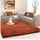 300 x 400 cm terra