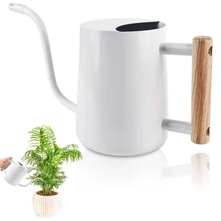 Mitening Gießkanne für Zimmerpflanzen, 1L Edelstahl, Weiß