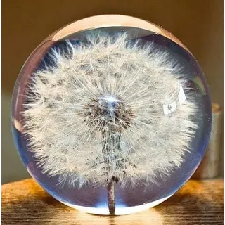 Pusteblume-Kristallkugel mit realistischer 3D-Blüte.Ideal als Briefbeschwerer&Deko.Premium-Sammlerstück für Festgeschenke an Familie,Freunde& Kollegen.Symbolisiert Hoffnung&süße Erinnerungen,A*8cm