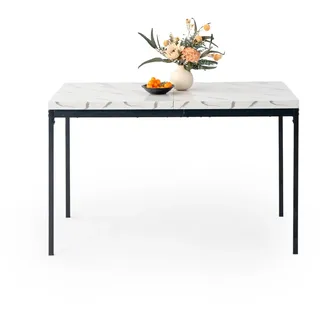 HOMYLIN Esstisch, 120 cm, Marmor-Weiß, Tisch-Effekt, Küchentisch, rechteckiger Schreibtisch für Konferenzraum, Küche, Restaurant, Apartment, Weiß