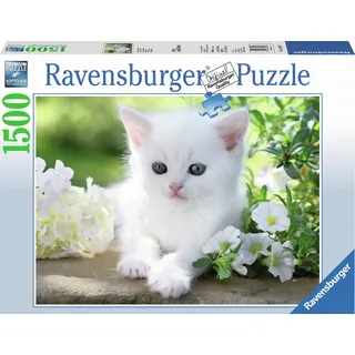 Ravensburger 16243 - RAVENSBURGER - Gattino Bianco - 1500 pz - Puzzle per adulti (1500 Teile)