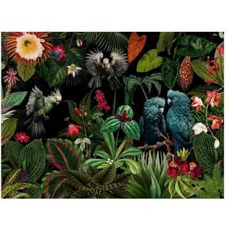 raxxa Platzset "Mystischer Zauberhafter tropischer Nacht Dschungel", (Set, 2-St., Platzdecken) bunt