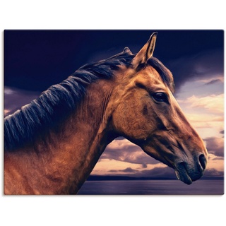 Artland Wandbild Pferd am Meer, Haustiere (1 St), als Leinwandbild, Wandaufkleber in verschied. Größen braun 40 cm x 30 cm