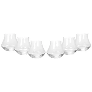 Mixcompany Glas Botucal Rum Tumbler Glas Gläser Set - 6x Tumbler