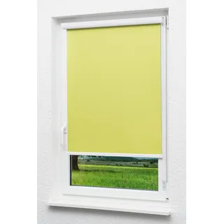 LYSEL Outlet - Kassettenrollo abdunkelnd Apfelgrün, (B x H) 70cm x 175cm in grün/apfelgrün