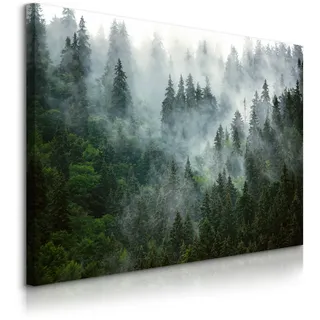 Muralo Leinwandbild, Grün, Schwarz, Grau, Textil, Kiefer, Baum/Pflanze/Natur, Landschaft/Berg, Rechteckig, 30x20 cm, einfache und schnelle Anbringung, Bilder und Zubehör, Wandbilder, Leinwandbilder
