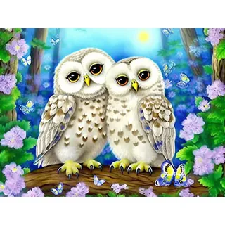 Bimkole DIY 5D Diamond Painting Zubehör Eule, Tierische Blumen Diamant Malerei Kit Voll Runde Bohrer Malen nach Zahlen Malerei Stickerei Kreuzstich Diamond Dekoration 30X40 cm