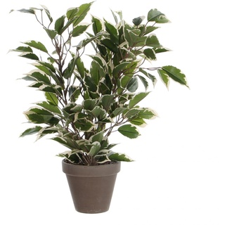 Mica Kunstpflanze Ficus Natasja grün bunt im Topf 40 x 30 cm