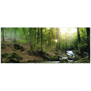 Wallario Glasbild Fließender Bach im Wald bei Sonnenuntergang - 50 x 125 cm Wandbilder Glas in Premium-Qualität: Brillante Farben, freischwebende Optik