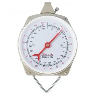 Mechanische Waage (200 kg)