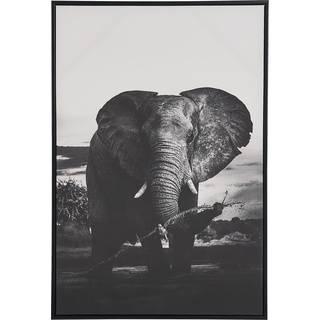 Beliani, Bilder, Leinwandbild mit Elefantenmotiv grau 63 x 93 cm NIBBIA (63 x 93 cm)
