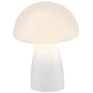 Paul Neuhaus FUNGO Weiß