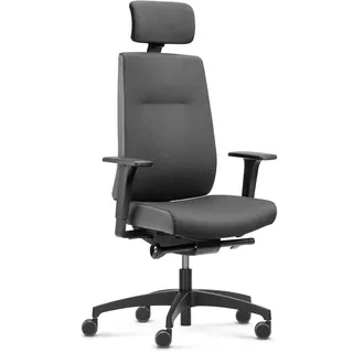 Dauphin Indeed Performance Operator, ergonomischer Bürostuhl & tiefenverstellbarer Lordosenstütze, höhenverstellbarer Kopfstütze, 2F-Armlehnen, Drehstuhl (Polsterrückenlehne + Kopfstütze)
