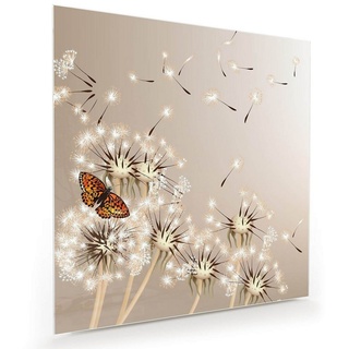 Primedeco Glasbild Wandbild Quadratisch Löwenzahn und Schmetterling mit Aufhängung, Blumen grau 80 cm x 80 cm