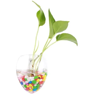 Gsycle 2 Stück Glaswand-Pflanzgefäße, Hängende Glas-Pflanzgefäße, Wandbehang, Glas-Pflanzgefäß, Hydrokultur-Wand-Pflanzgefäß, Glas-Terrarium Für Heimdekoration(#6)