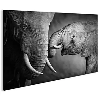 islandburner Bild Bilder auf Leinwand Elefanten V2 1p Elefantenbaby XXL Poster Leinwandbild Wandbild Dekoartikel Wohnzimmer Marke