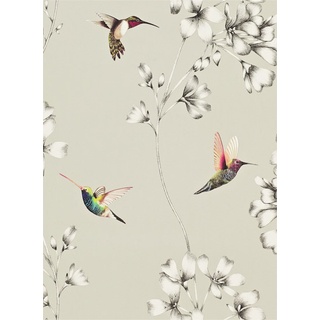 Kolibri Tapete Amazilia von Harlequin - Silver