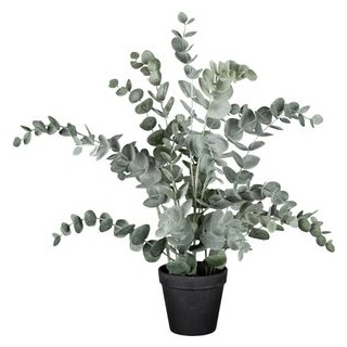 Creativ-green Kunstpflanze Höhe 53 cm, Eukalyptus, im Topf