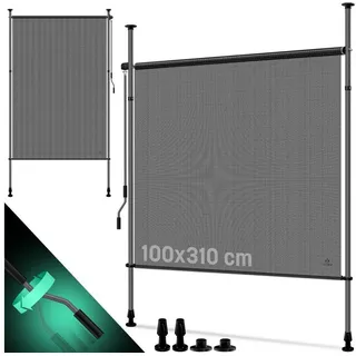 hecke eibe Becher-Eibe 80-100cm Taxus media hillii als starke Ballenware main image 0