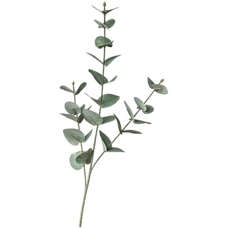 Stielblume EUKALYPTUS ca.68cm, grün