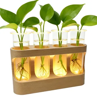 Blumenvase Reagenzgläser mit Ständer, 4 Reagenzgläsern, Abnehmbare Pflanzen Propagation Station Reagenzglas Vase Holz Reagenzgläser für Blumen mit Halterung, für Home Wohnzimmer Büro (Warmes Licht)