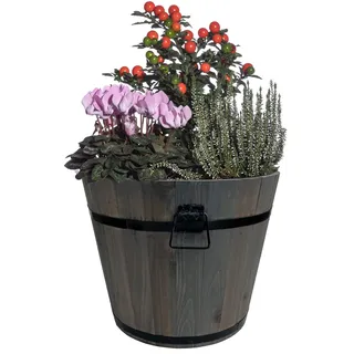 Holz Pflanzkasten M 31,5cm Shabby Kräuterbeet Balkonkasten