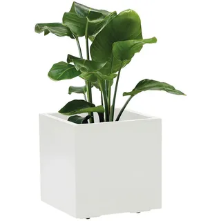 Euro3Plast Kebe 39,5 x 39,5 x 39,5 cm Weiß