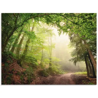 ARTland Wanddeko Glasbilder Wandbild Glas Bild einteilig 80x60 cm Querformat Wald Baum Natur Landschaft Nebel Sonne Sommer Landhaus T5GR