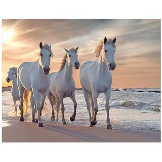 SHEGZHUC Diamond Painting Tiere Pferde 50 x 40 cm – weißes Pferd am Strand bei Sonnenuntergang – Landschaft am Meer und Wildtiere