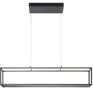 Paul Neuhaus CONTURA 1-flg. 20 cm rechteckig schwarz