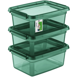 PAFEN 3X Aufbewahrungsbox mit Deckel 12,5L - 38 x 28,5 x 16 cm - Boxen Aufbewahrung Stapelboxen mit Verschlussclips Kunststoffbehälter Kleiderboxen Transparent Organizer | Grün