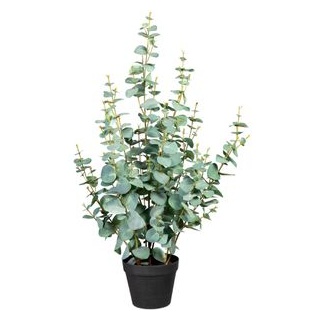 Creativ-green Kunstpflanze Höhe 80 cm, Eukalyptus Silverdollar, im Topf